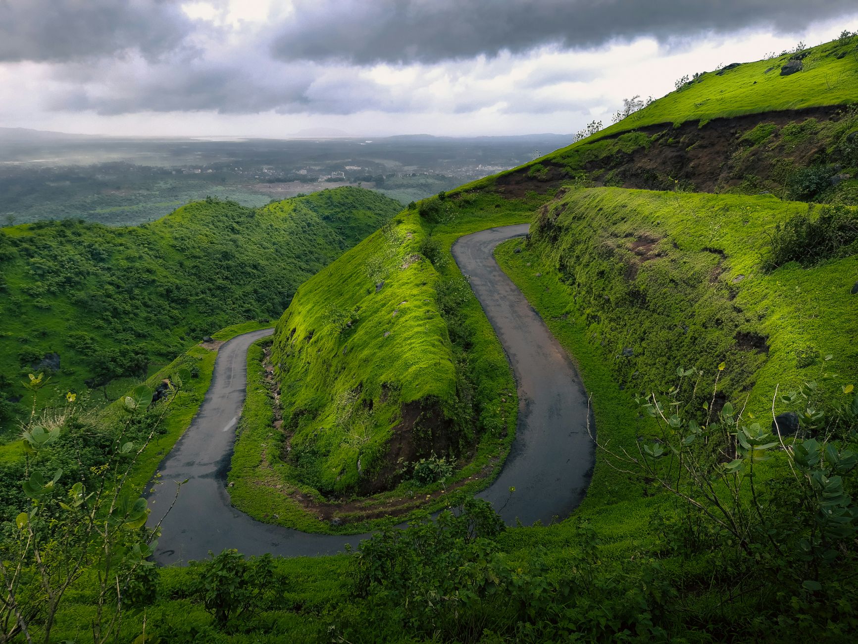 Monsoon Magic in Coorg