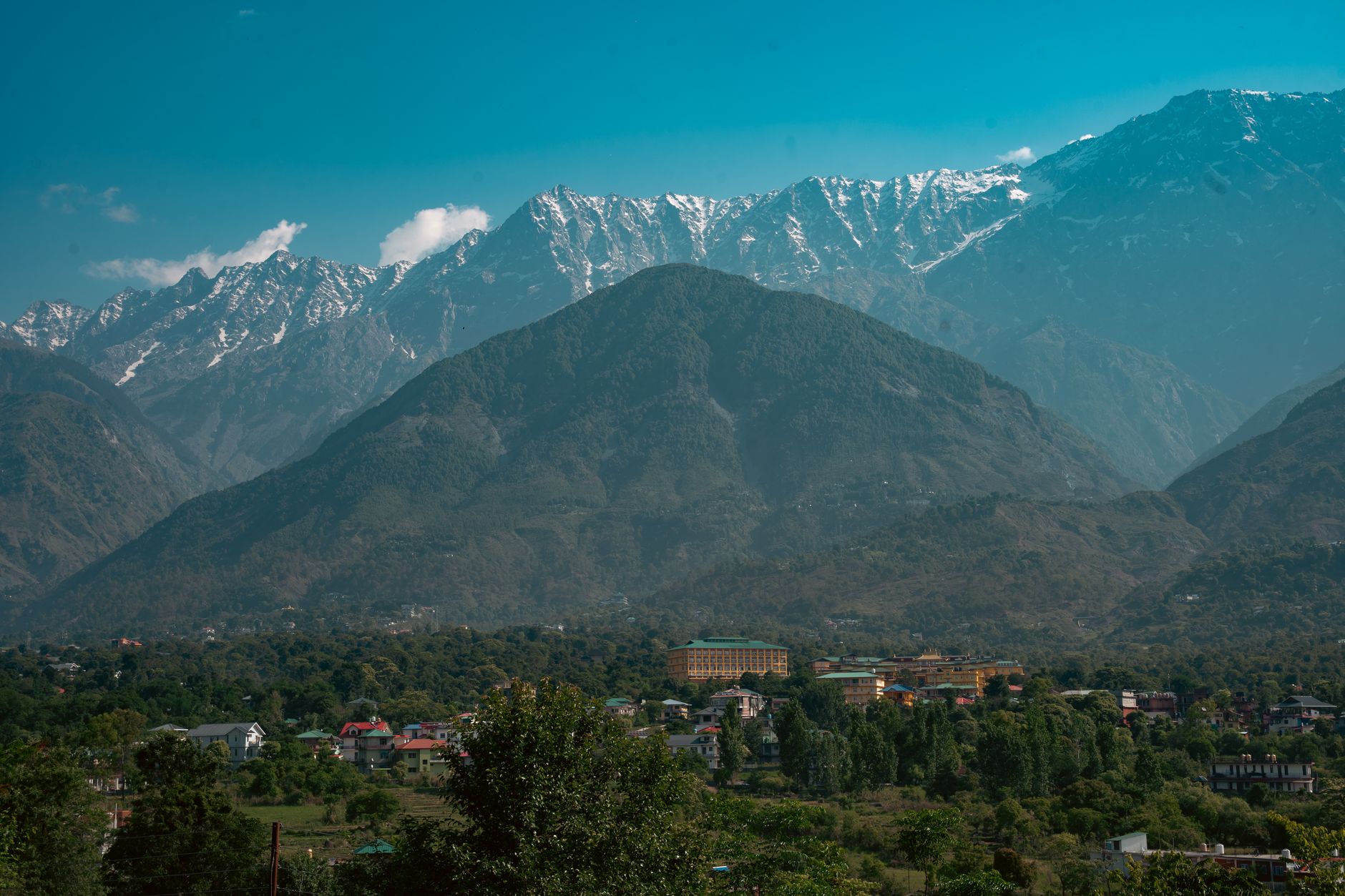 Unwind in Dharamshala - Photo 4