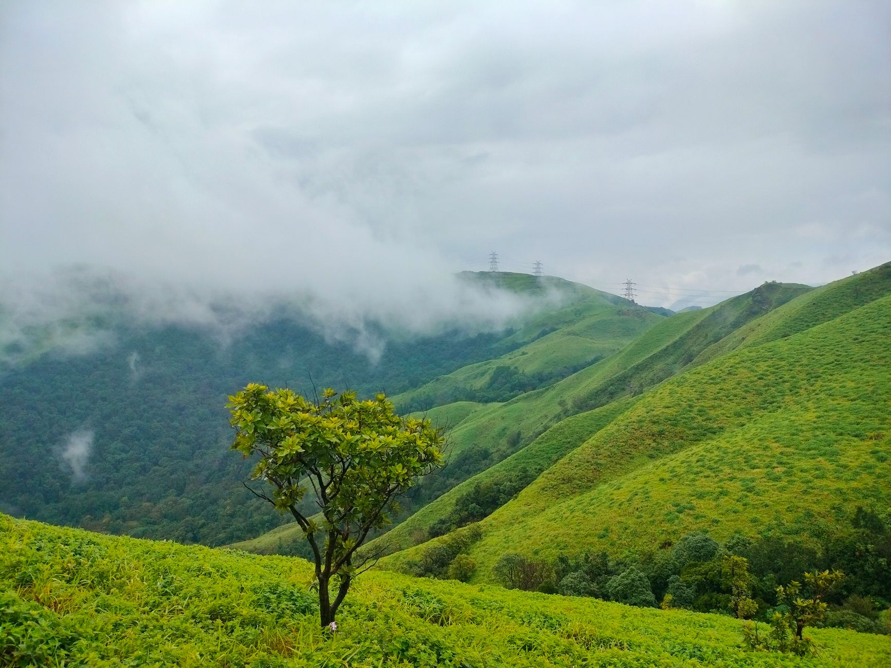 Monsoon Magic in Coorg - Photo 4