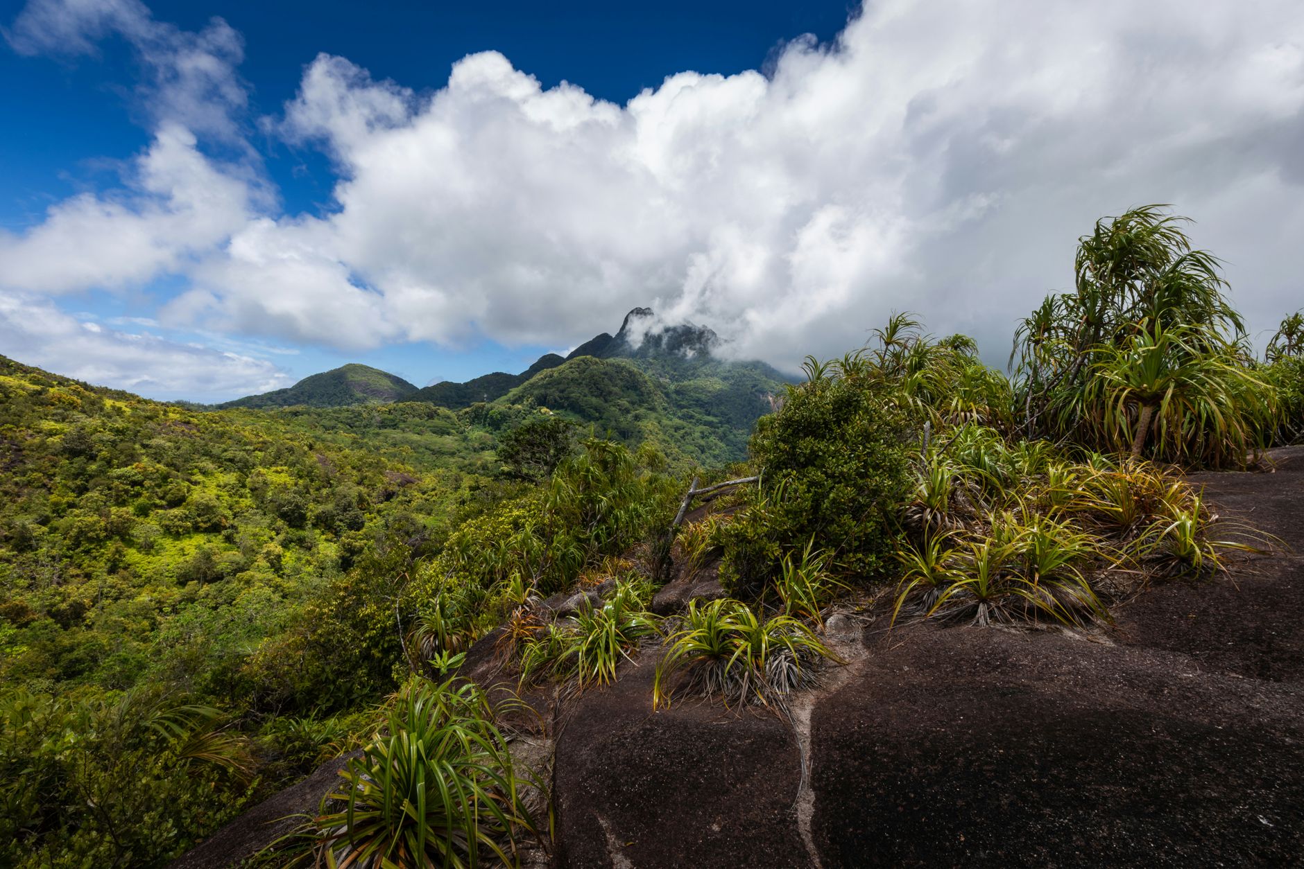 Visa‑Free Family Getaway: Explore Seychelles Without a Visa – The Ultimate Indian Guide - Photo 3