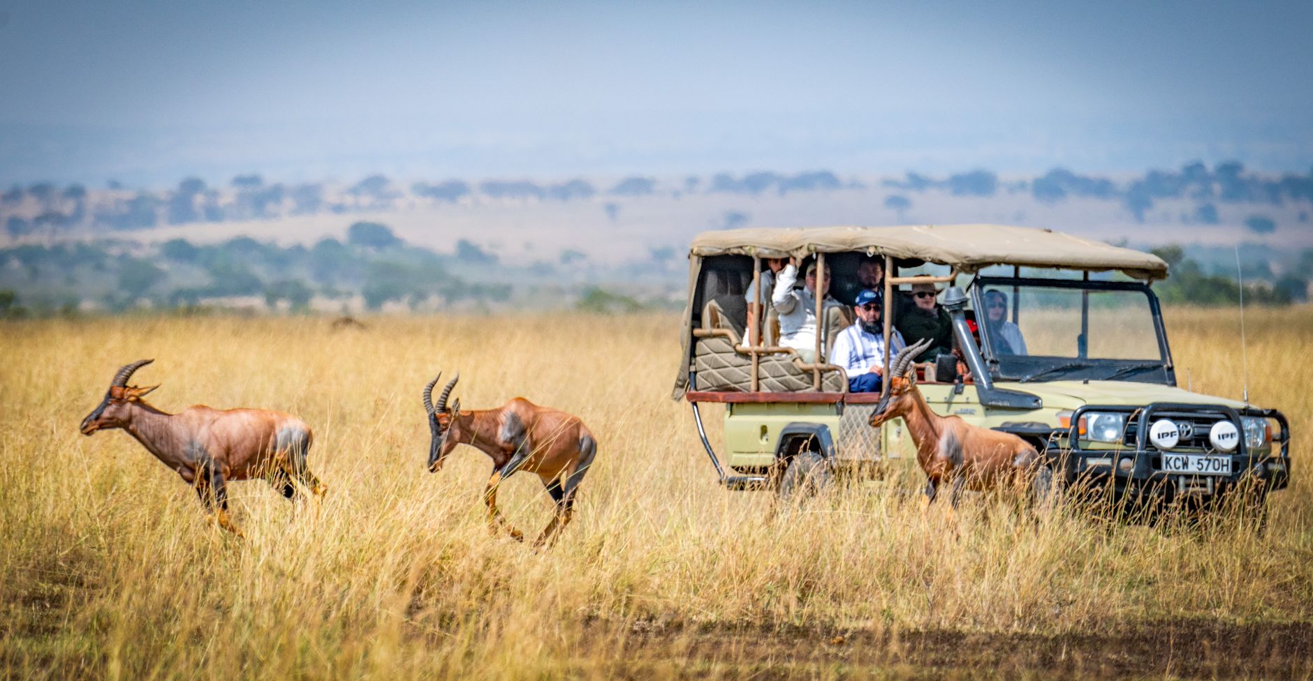 Kenya Safari 2026: Ultimate Wildlife Adventure Guide for Indian Travelers - Photo 1