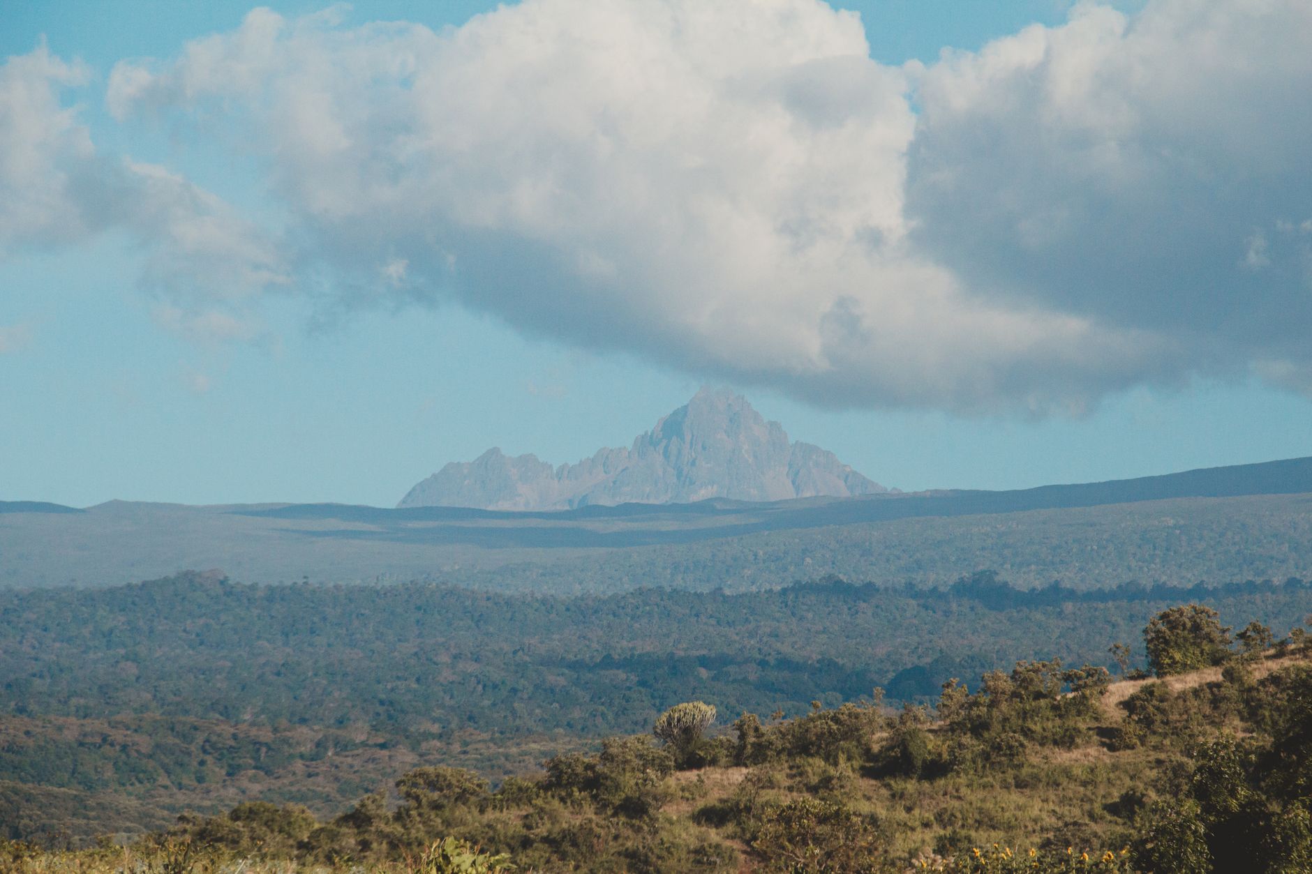 Kenya Safari 2026: Ultimate Wildlife Adventure Guide for Indian Travelers - Photo 4