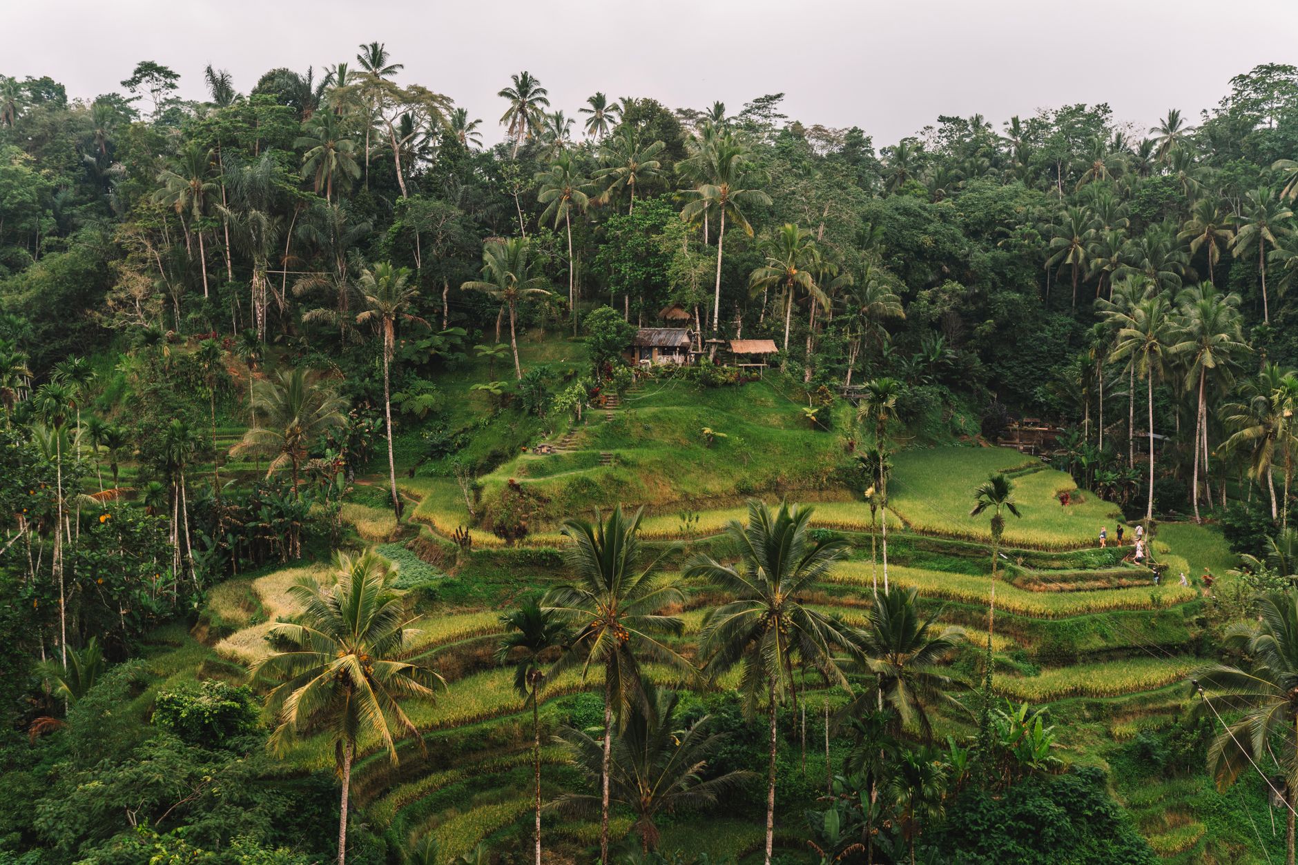Bali Monsoon Escape 2026: Ultimate Guide for Indian Travelers