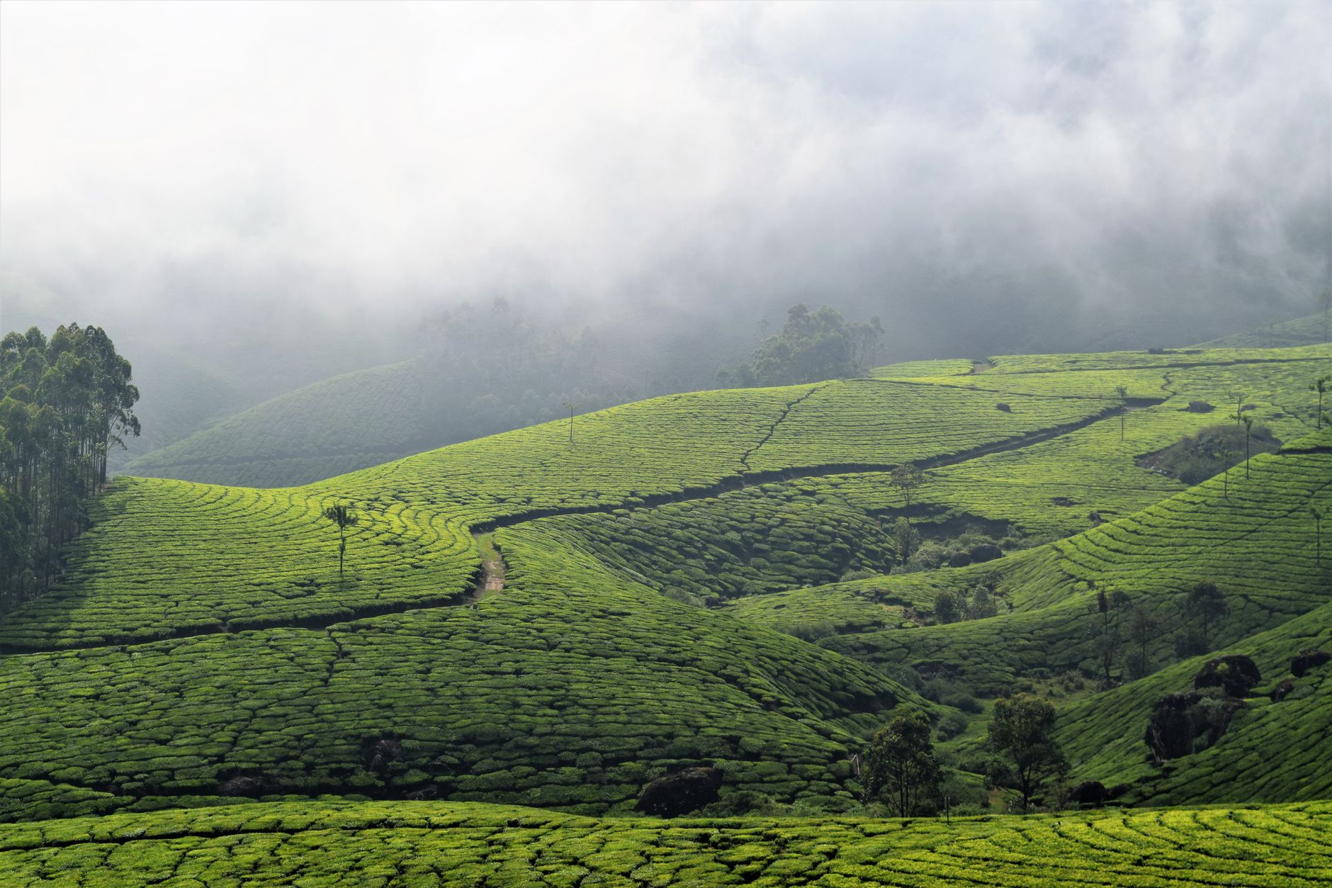 2026 Indian Honeymoon Planning Guide: From Booking to Dream Experiences - Photo 3