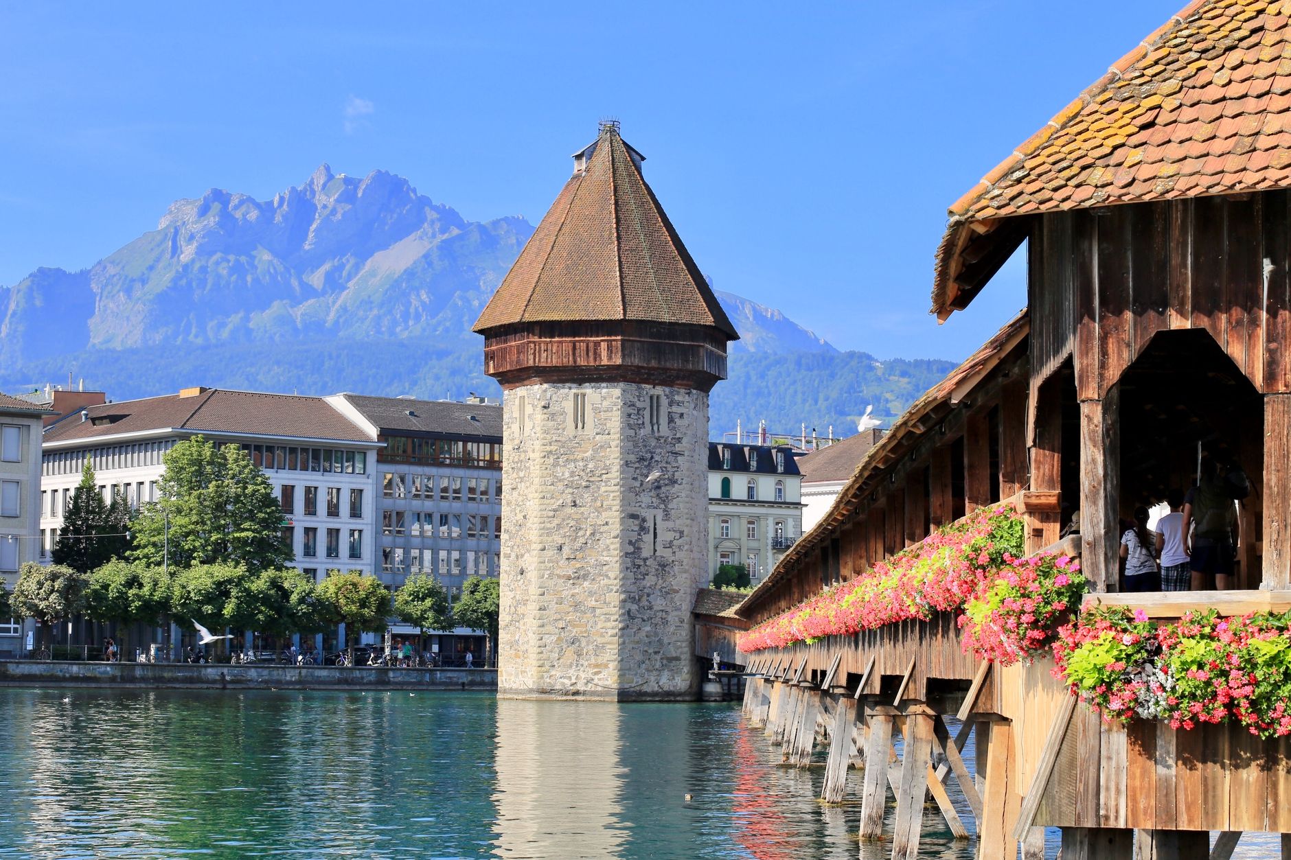 New Year 2026 Swiss Alps Escape: The Ultimate Indian Travel Guide - Photo 3