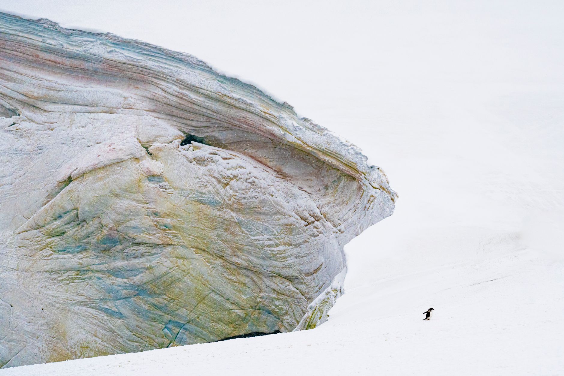 Backpacking Antarctica 2026: Ultimate Indian Guide, Costs & Itinerary - Photo 1