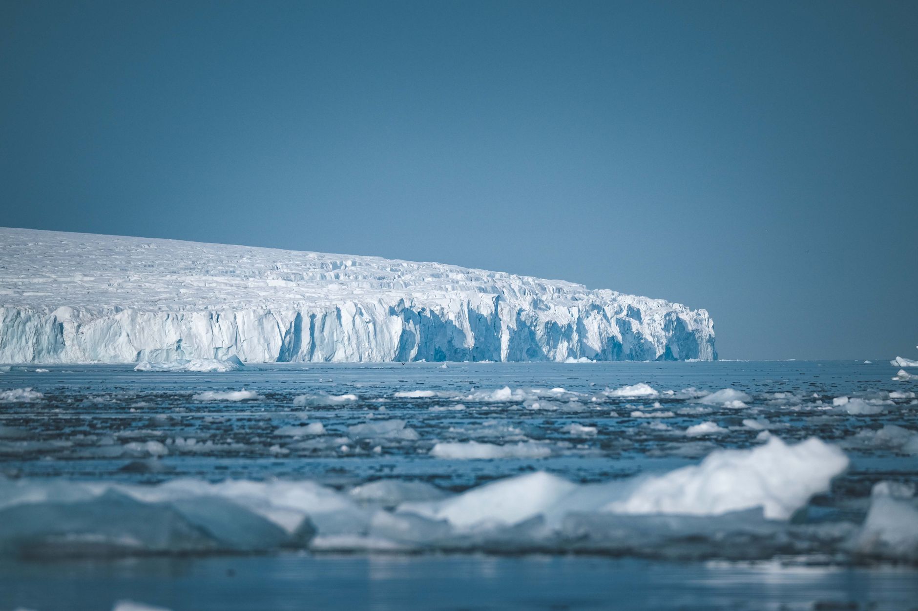Backpacking Antarctica 2026: Ultimate Indian Guide, Costs & Itinerary - Photo 3