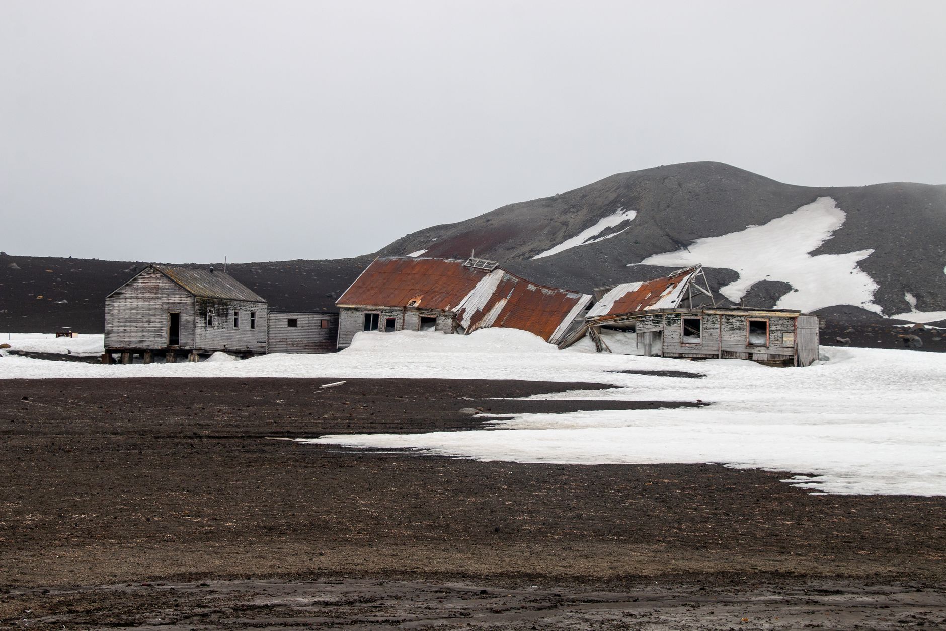 Backpacking Antarctica 2026: Ultimate Indian Guide, Costs & Itinerary - Photo 4