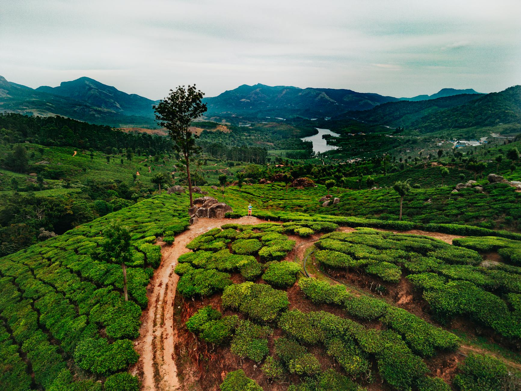 Monsoon Magic in Munnar