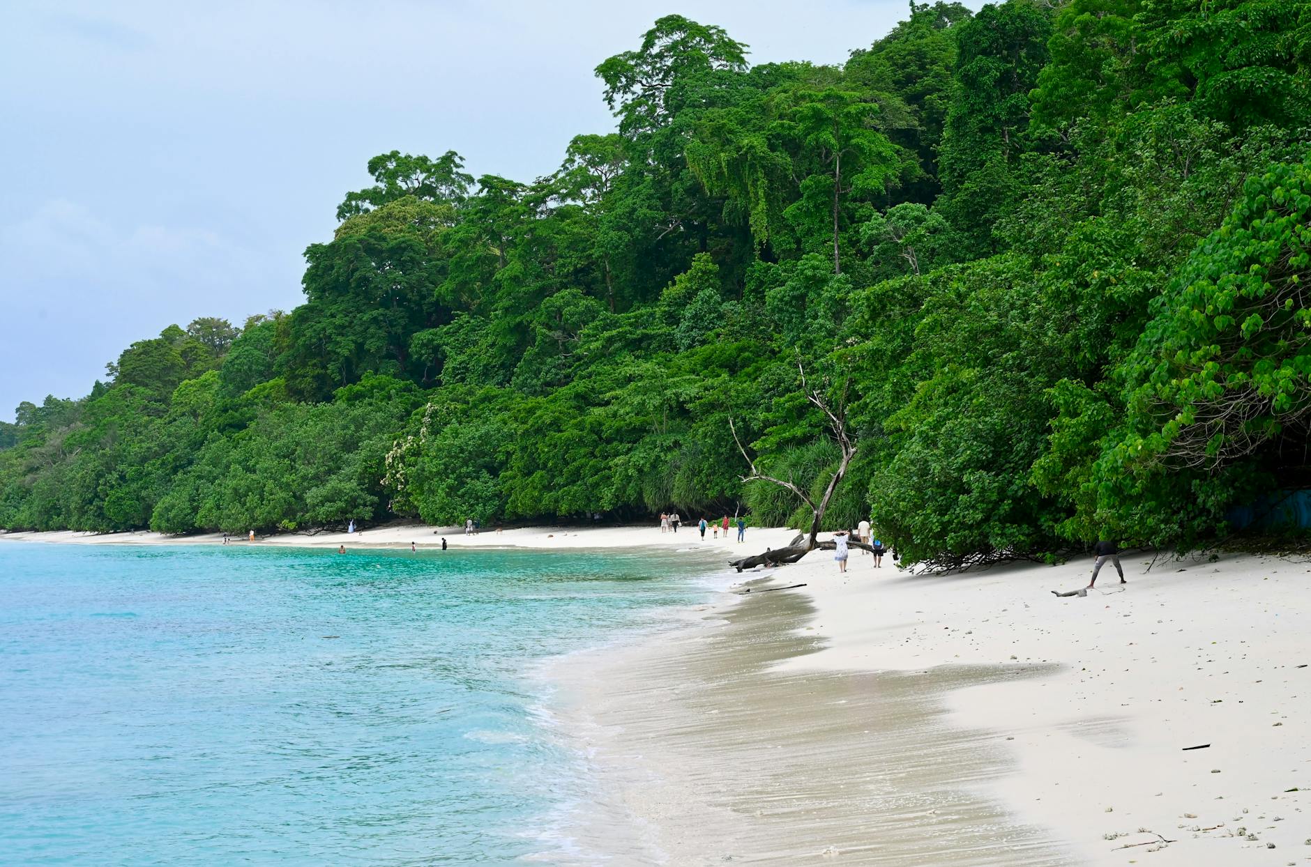 Andaman Islands: Tropical Bliss