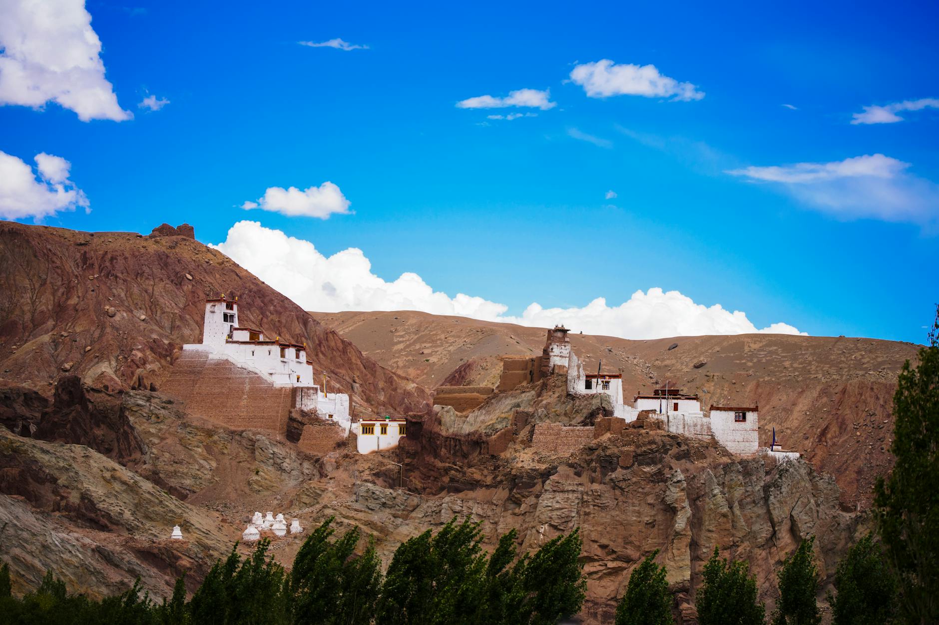 Summer in Ladakh - Photo 3