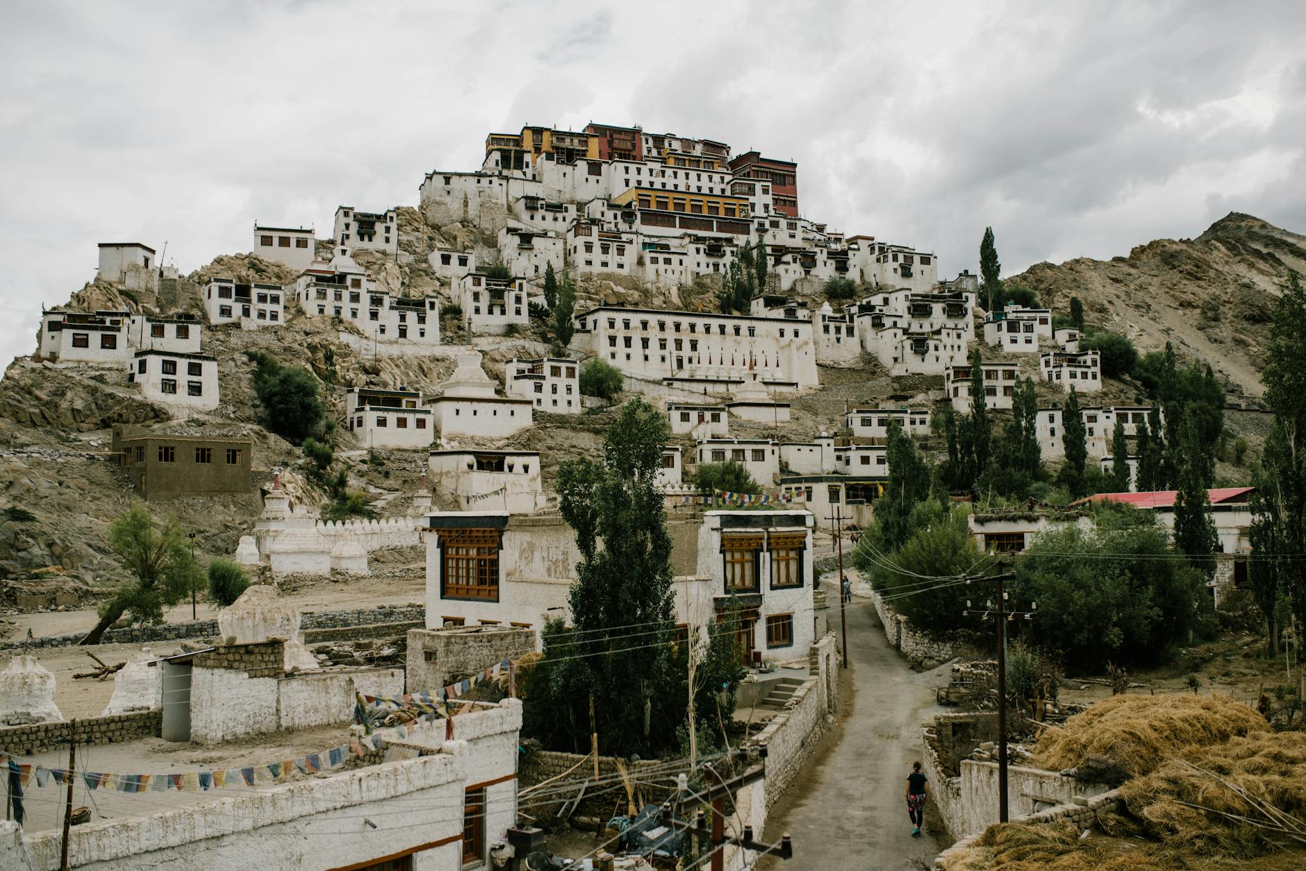 Summer in Ladakh - Photo 4