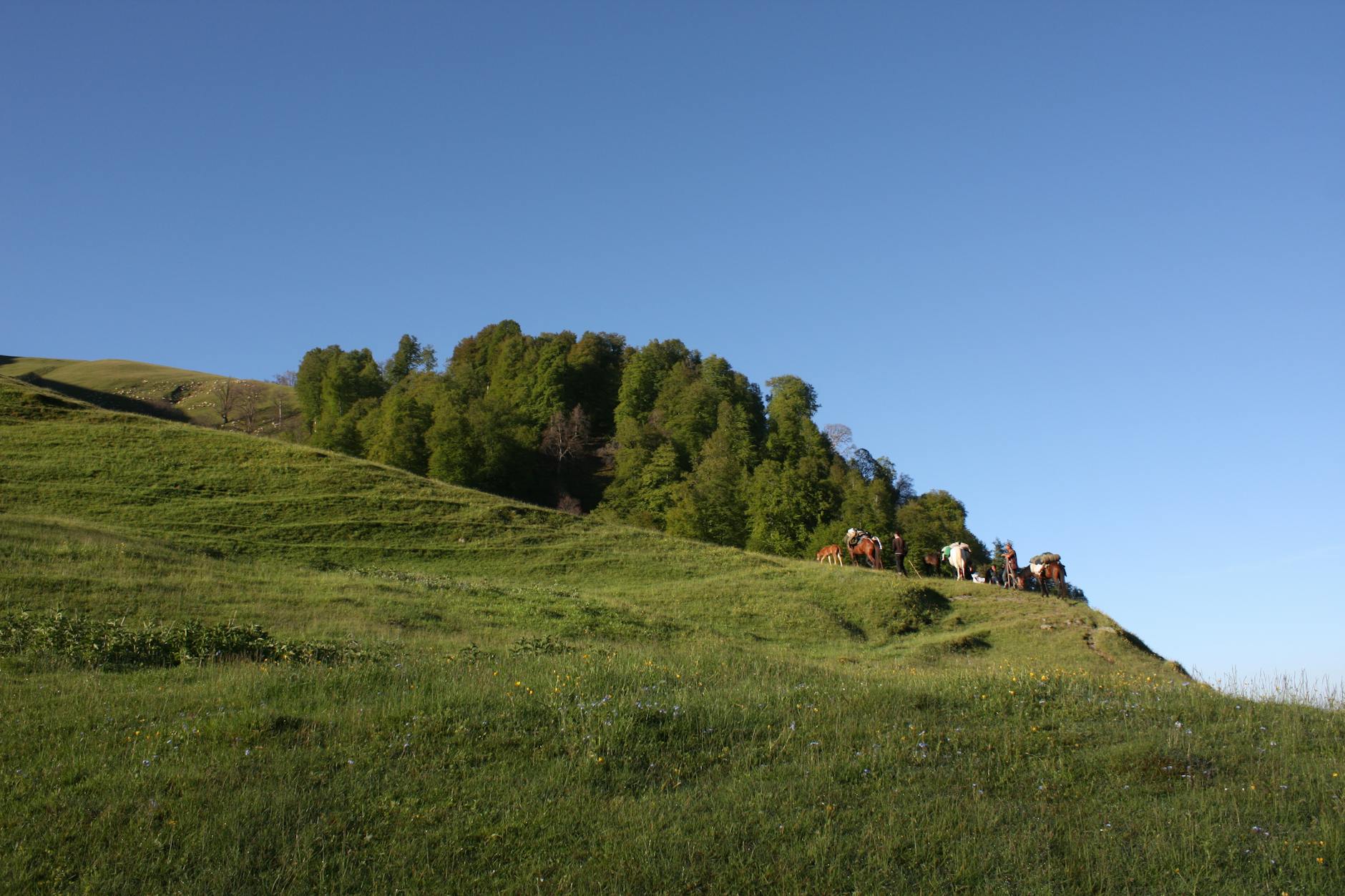 Discover Auli: India's Skiing Paradise - Photo 3