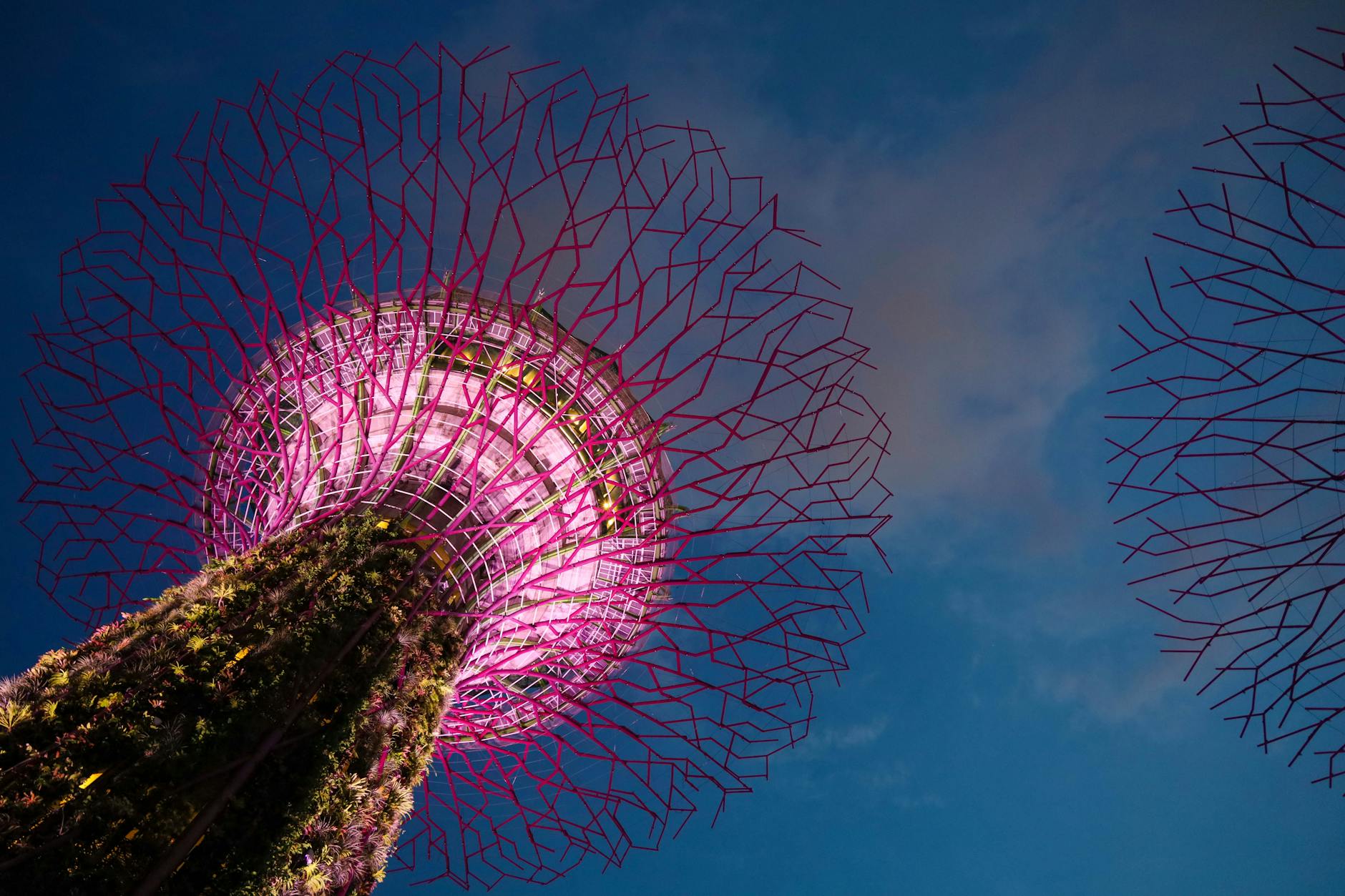 Family Fun in Singapore - Photo 1