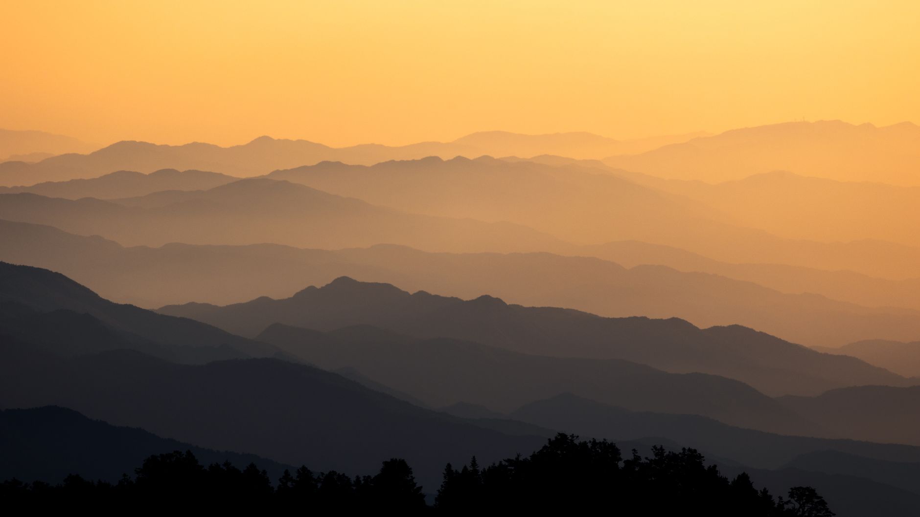 Discover Darjeeling: Queen of Hill Stations - Photo 4