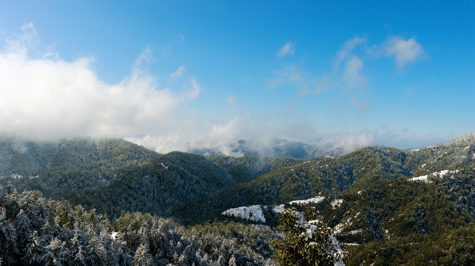 Winter Wonderland: Shimla