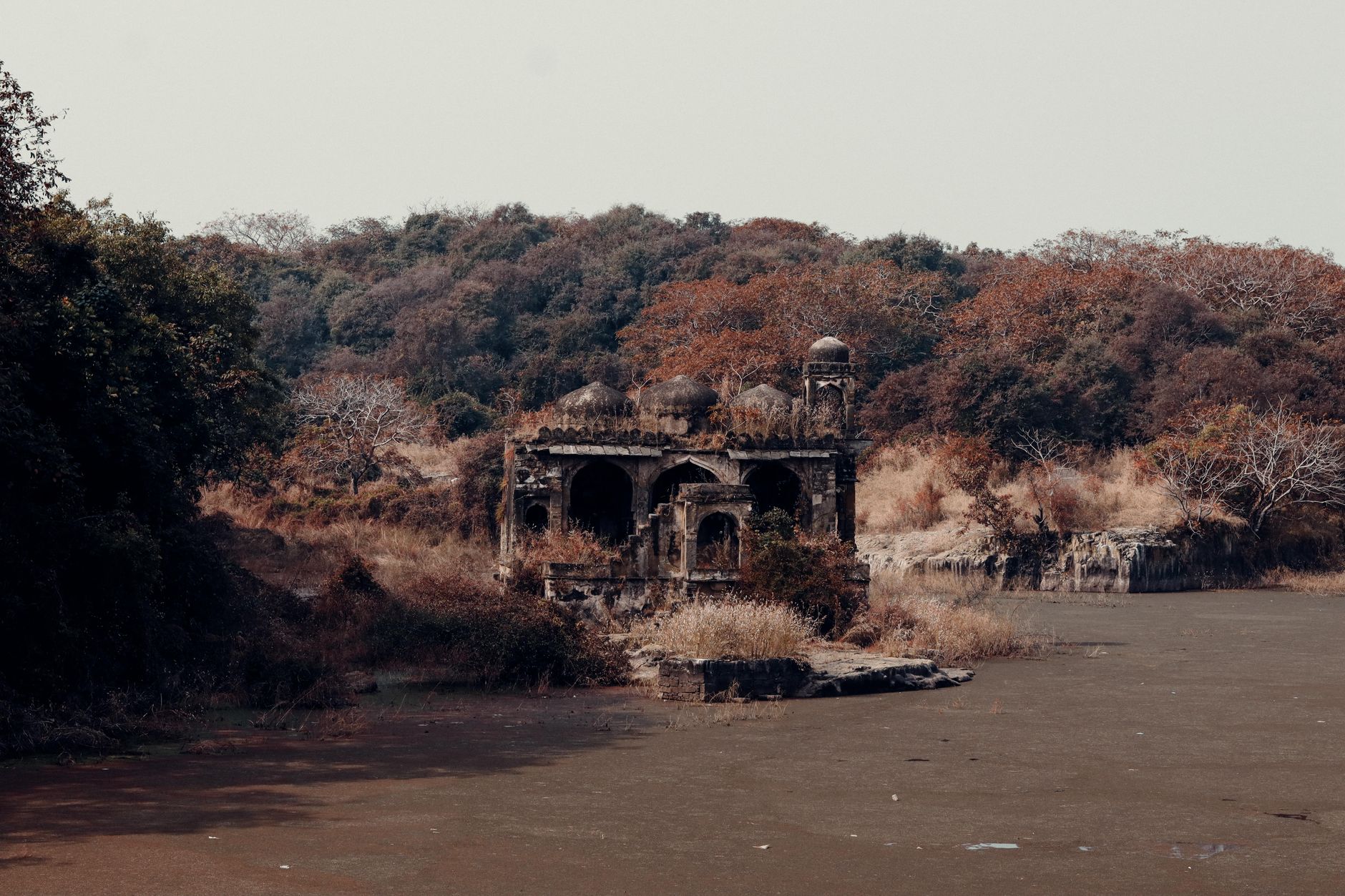 Wildlife Wonders of Ranthambore - Photo 1