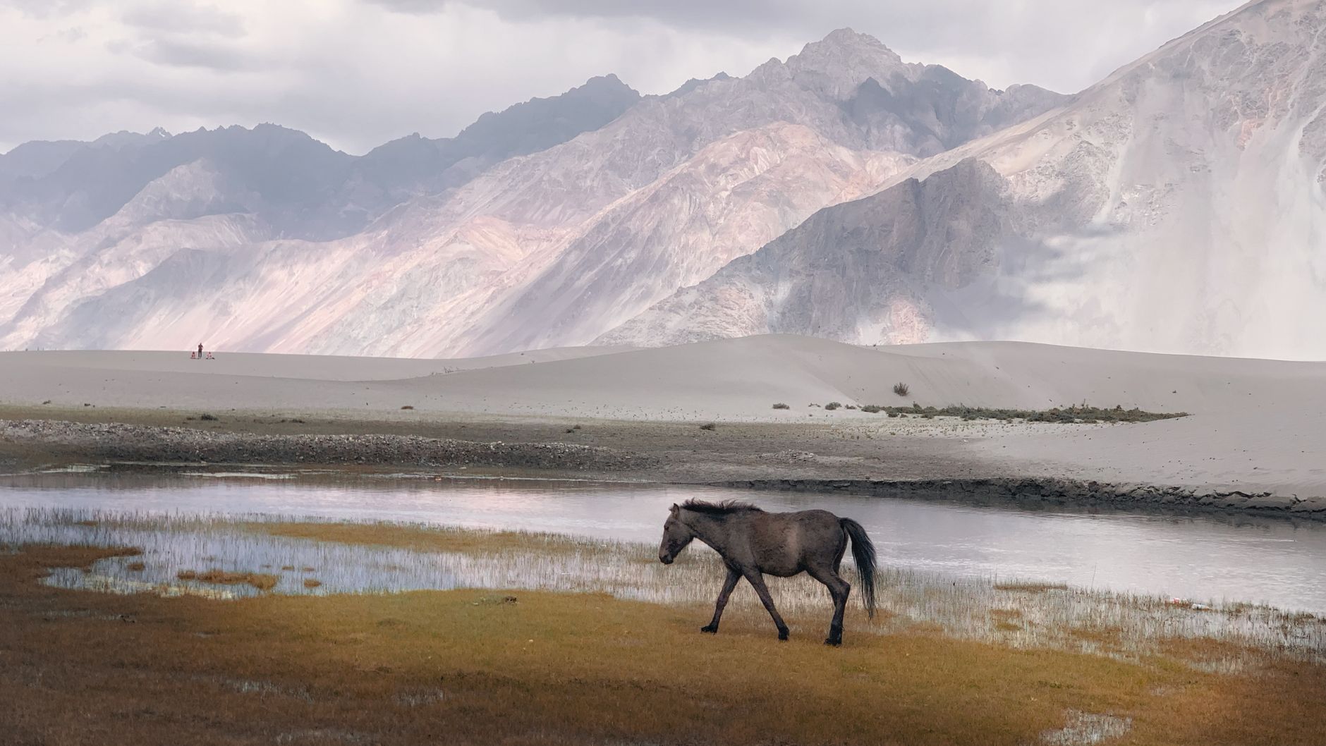 Discover Nubra Valley