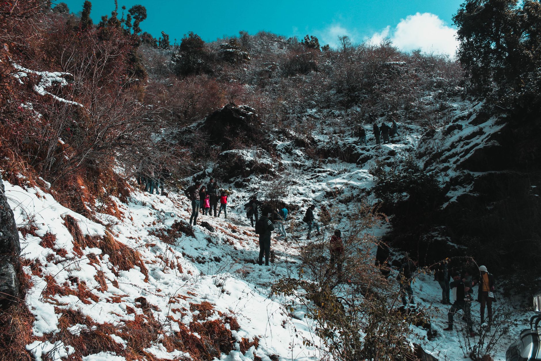 Discover Mussoorie: Queen of Hills - Photo 3