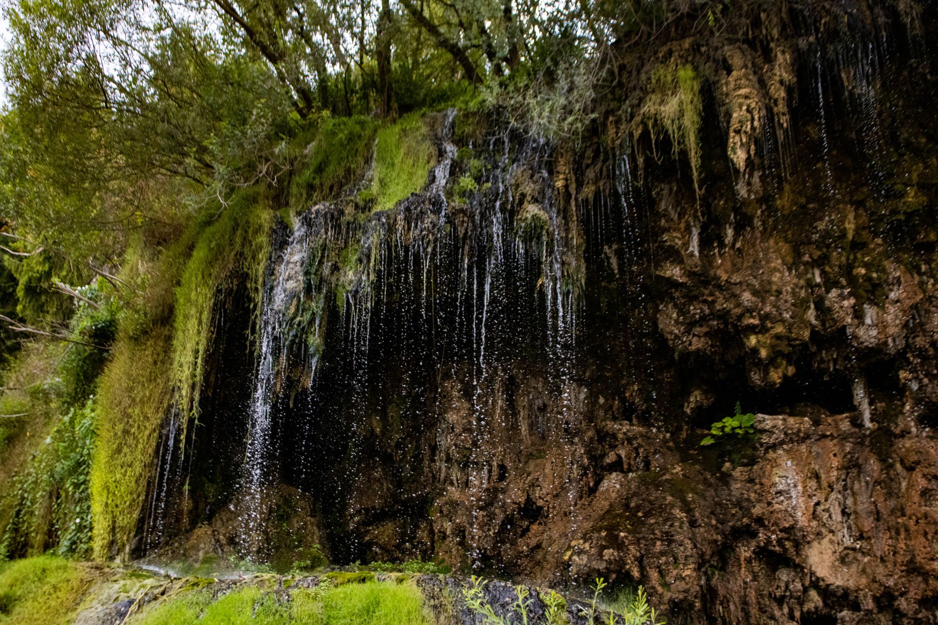 Discover Mussoorie: Queen of Hills - Photo 4